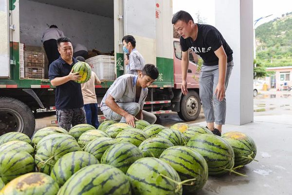 1597457054833826F021.jpg 1.jpg